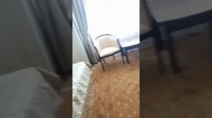 Роял отель Ярославль