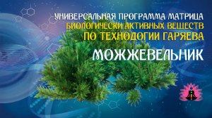 Можжевельник 🔊 программа матрица по технологии Гаряева П.П ☀️ SoftRadio.ru