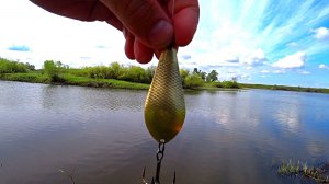 Железо РУЛИТ ! Рыбалка на спиннинг с берега! Спиннинг 2022!