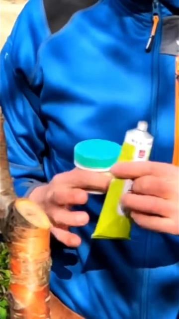 Обработка среза дерева. Часть 2. #бонсай #bonsai #ниваки #ан смотреть онлайн