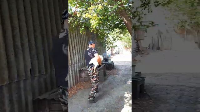 моя жизнь как она есть... смотреть онлайн