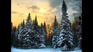 Вася Сапак Цыганская песня 2025 - Сыпал снег буланому по?