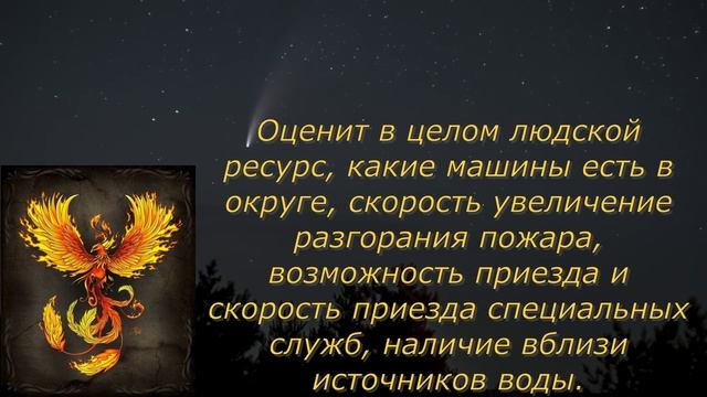 Грядущий царь как управленец смотреть онлайн
