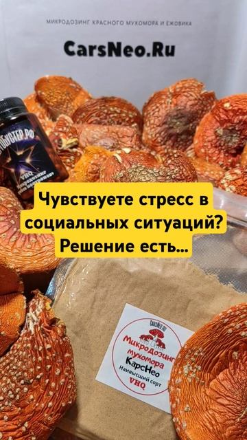 Чувствуете стресс в социальных ситуаций? Решение есть смотреть онлайн
