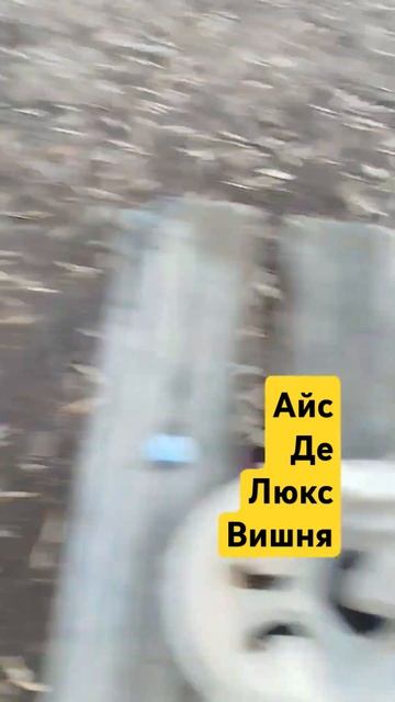 Обзор на Мороженое Айс Де Люкс Вишня Новинка от Вкусно смотреть онлайн