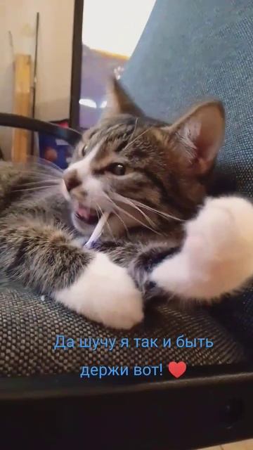 у меня есть вкусная конфетка. смотреть онлайн