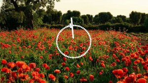 Абидат Шахбанова - Милая твоя 2025