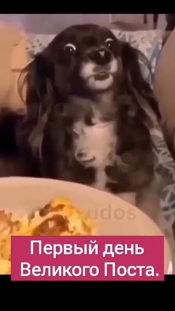 Первый день великого поста смотреть онлайн