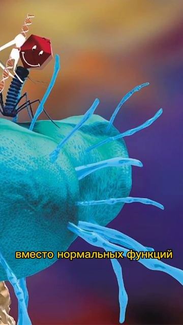 Существует вирус, который превращает бактерии в зомби смотреть онлайн