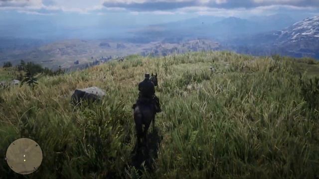 Прохождение Red Dead Redemption 2 — Часть 19 : Падающий дождь