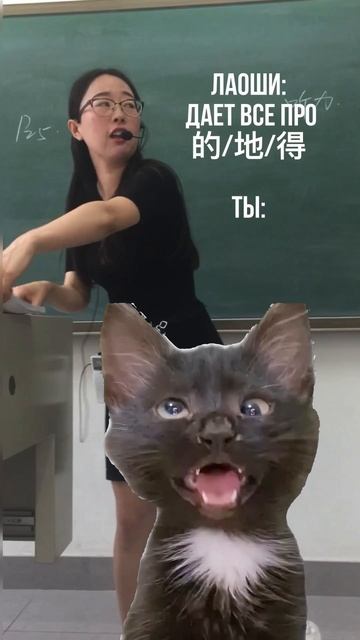 ДэДэДэ, или грамматика продвинутого уровня #китайскийязык #китай #китайский#котики#мем  #юмор#мемы