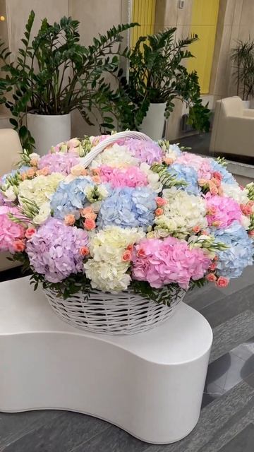 👆Корзина из свежих гортензия 🥰 Доставка по Москве 24/ смотреть онлайн