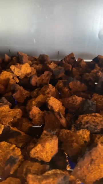 Сушки березовой чаги #запасыскобаря#чага#береза#берез смотреть онлайн