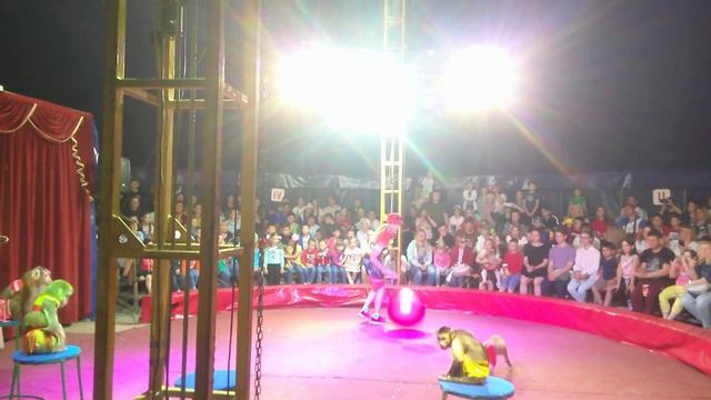 Цирк 🤡 17 июня 2022 смотреть онлайн