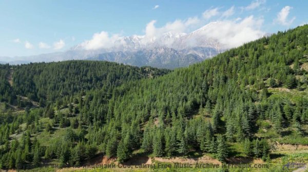 Видео, которое можно смотреть только в состоянии медитации - попробуйте! - Splish Splash -- SUPERARE
