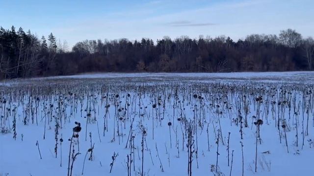 Обзор обновленного тепловизионного бинокля Pulsar Accolade 2 LRF XP50 PRO сравнение с предыдущим смотреть онлайн