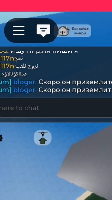 А Вы не забыли???сегодня Китайский новый год!#roblox #робло смотреть онлайн