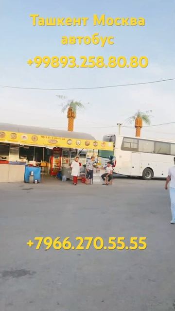 Ташкент Москва автобус Москва Ташкент автобус Ташкен? смотреть онлайн