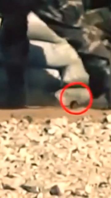 #shorts #respect  Граната выпала с Рук.