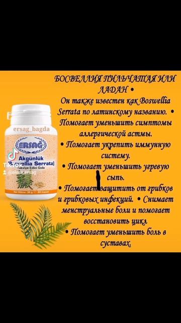 Босвелія | Ладан смотреть онлайн