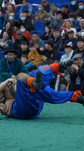 Өвөр Монгол бөхийн барилдаан