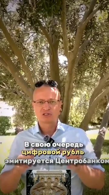 Цифровой рубль. Вся правда. #shorts #деньги #цифровойрубль смотреть онлайн