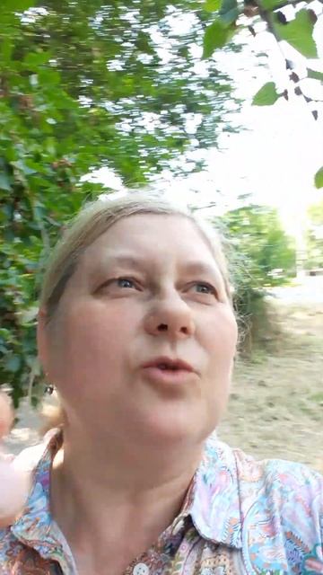 Shorts ШЕЛКОВИЦА БЮДЖЕТНАЯ смотреть онлайн