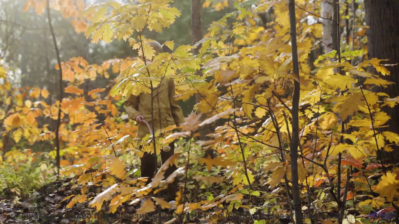 Мелодия ведёт выше облаков без единого шага - Risers -- Chad Crouch -- Arps II