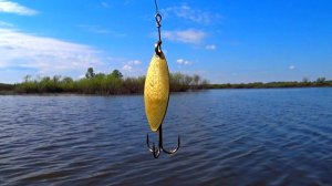 Ловля щуки на спиннинг ! Рыбалка на спиннинг с берега !