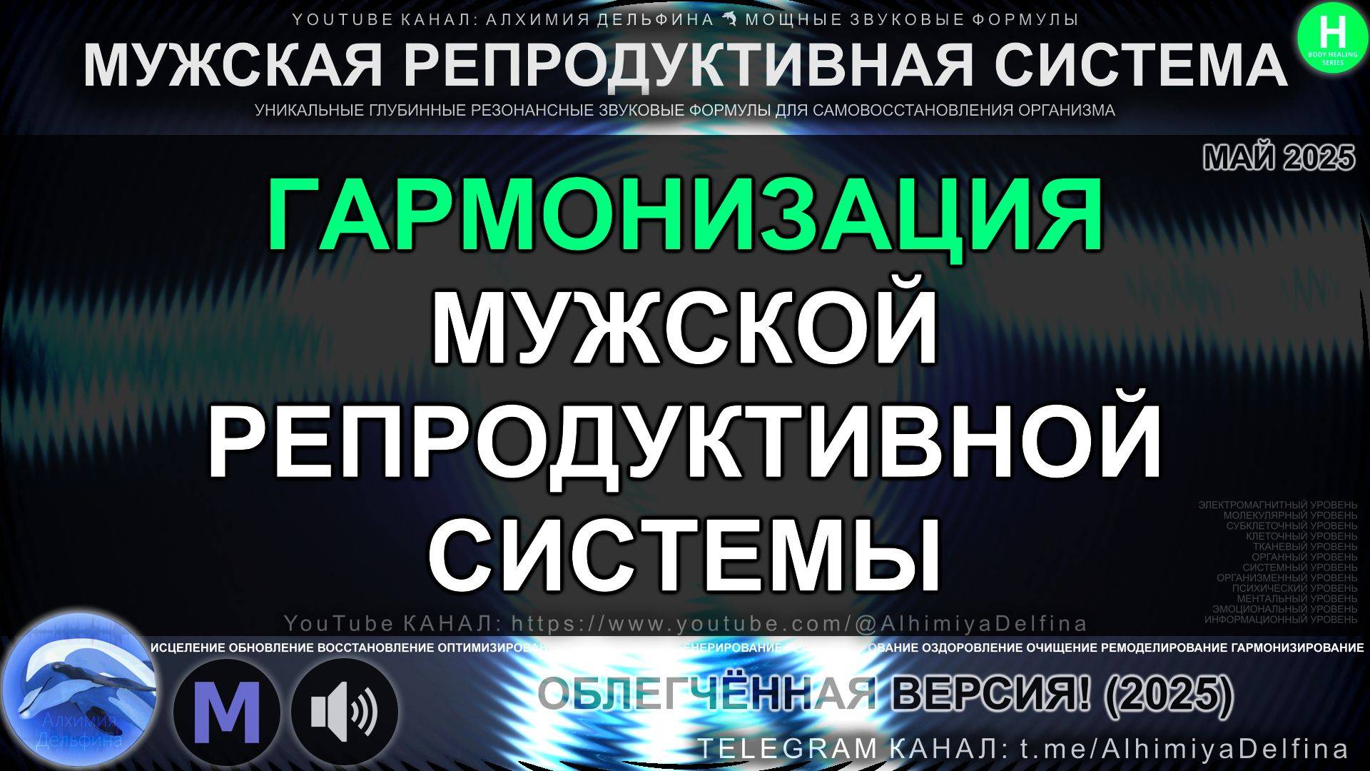 🔥 ВИБРАЦИИ МУЖСКОЙ РЕПРОДУКТИВНОЙ СИСТЕМЫ 💪🌟