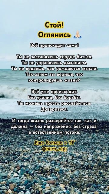 Доверься🙏🏻✨Переходи в телеграмм в описании⤵️ #осо