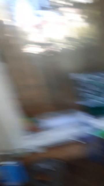 забыл вам сказать, у меня есть 2 собака.