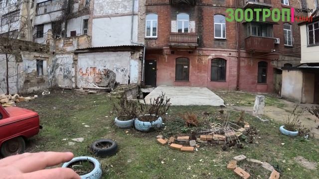 💥 Одесса. Ужасы. ⚡️ Обрушение дома. Базарная 93. Памятник архитектуры. МЧС. Поиски людей. #зоотроп смотреть онлайн