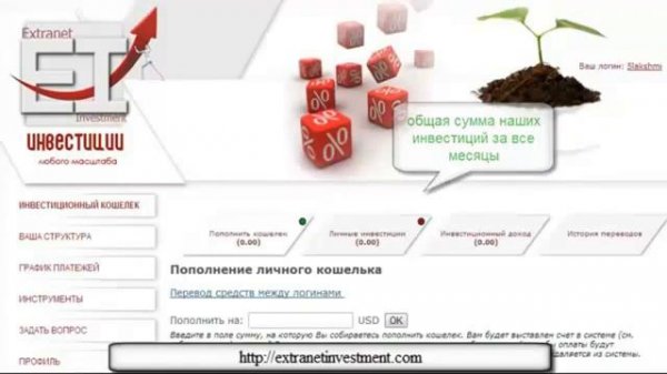 Хедж фонды -принцип работы Extranet investment