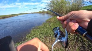 Я НЕ ОЖИДАЛ что ТУТ БУДЕТ КЛЕВАТЬ так  ЩУКА! Рыбалка на спиннинг, на реке в мае