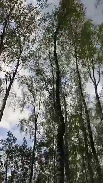 "Родные края" Дмитрий Романов и Инна Улановская смотреть онлайн