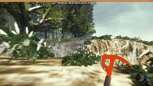 выживание в The Forest №1