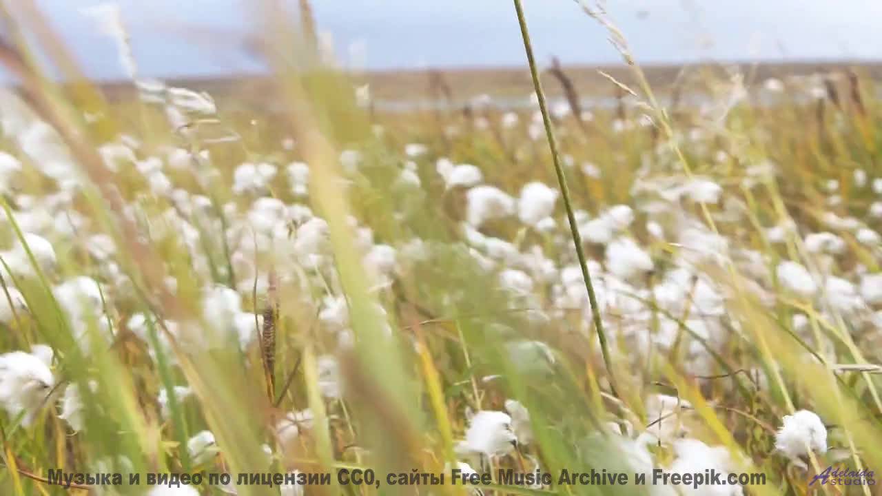 Он заставит тебя улыбаться без причины - проверь! - Play For Your People (music Hall Singalong) -- K