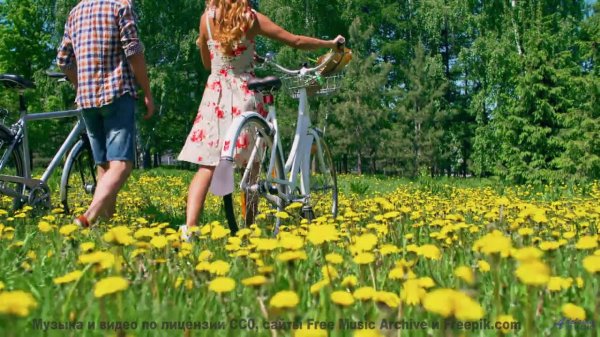 Каждое поле кажется бесконечным при этих звуках - A Play on Words -- Les Hayden -- Home