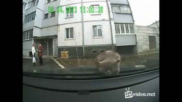 Лучшие приколы Рунета Выпуск #11 Русская рыбалка] смотреть онлайн