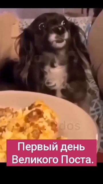 первый день Великого Поста смотреть онлайн
