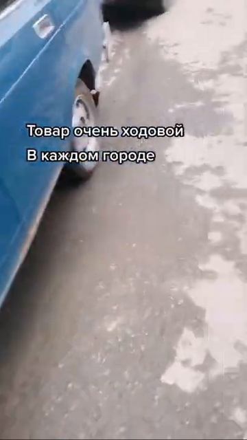 Бизнес #бизнес #пассивныйдоход #заработок #инвестиции смотреть онлайн