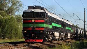 Проходящие поезда на Рязанском направлении Мосузла. Перегон Пески - Голутвин. Июнь 2024 года