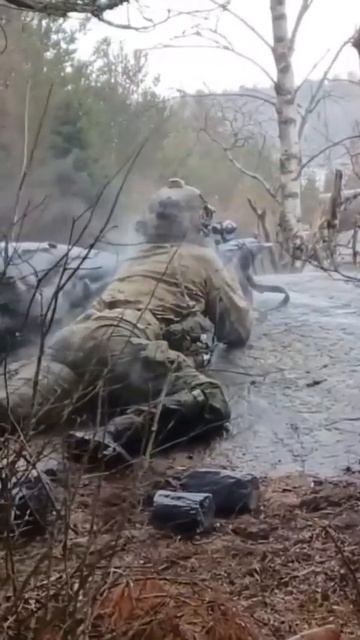 От души настрелялся, сердеШный. Тут и тепловизионный прицел для обнаружения не нужен смотреть онлайн