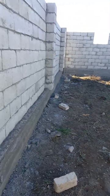 6 февраля 2023 г. смотреть онлайн