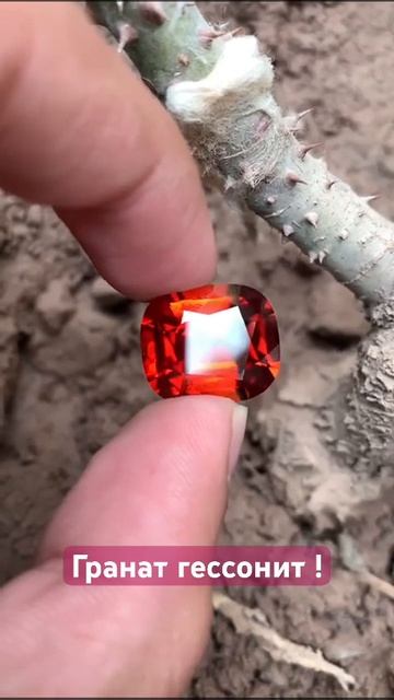 Гранат гессонит! Горит как огонь! смотреть онлайн