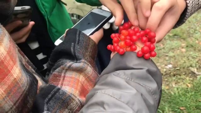 🤍 Акция помощи пожилым людям от Клуба волонтёров 🤍 смотреть онлайн