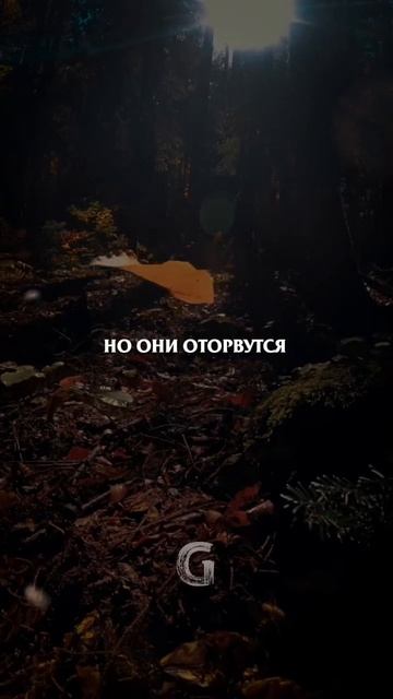 Какие люди есть в вашей жизни? смотреть онлайн