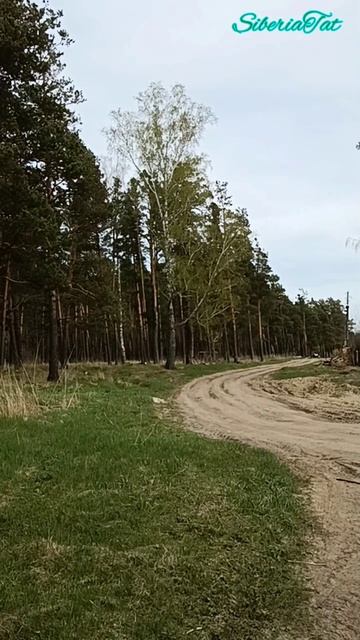 ОТПУСК НА АЛТАЕ, ШИКАРНЫЕ ПЕЙЗАЖИ, ЛЮДИ ♥️🤗