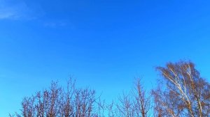 25 апреля Светлая Пятница. Что нельзя делать 25 апреля. Н